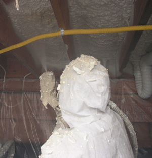 Chattanooga TN crawl space insulation